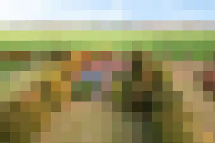 Ivige Leane 30 Loënga thumbnail 62
