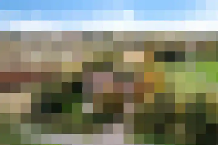 Ivige Leane 30 Loënga thumbnail 63