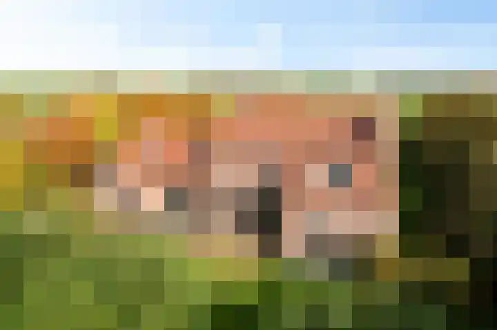Ivige Leane 30 Loënga thumbnail 64