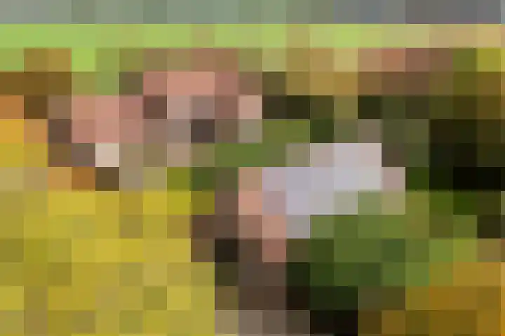 Ivige Leane 30 Loënga thumbnail 65