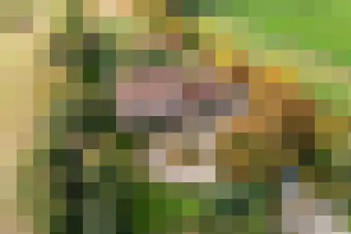Ivige Leane 30 Loënga thumbnail 66