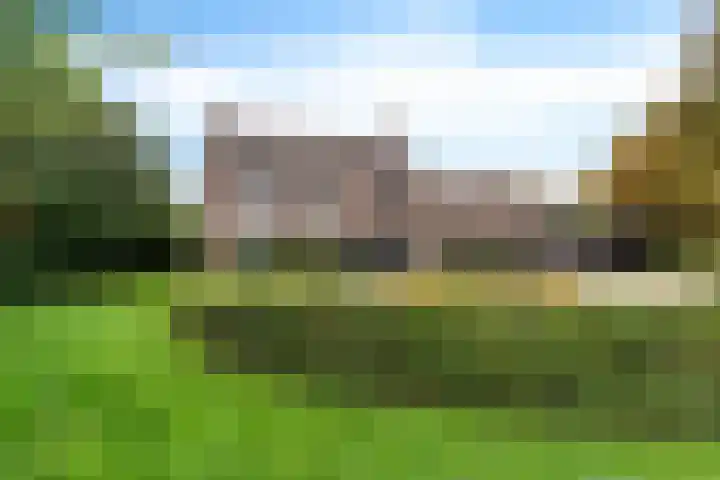 Ivige Leane 30 Loënga thumbnail 7