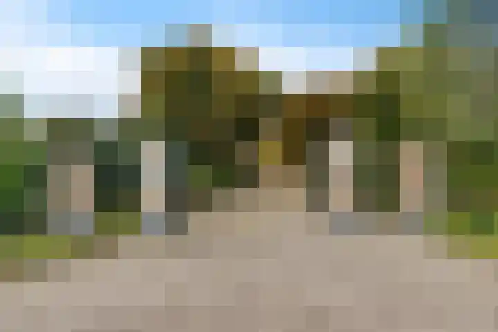 Ivige Leane 30 Loënga thumbnail 9