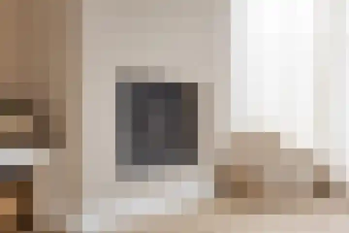 Ivoordistel 18 Rotterdam thumbnail 10