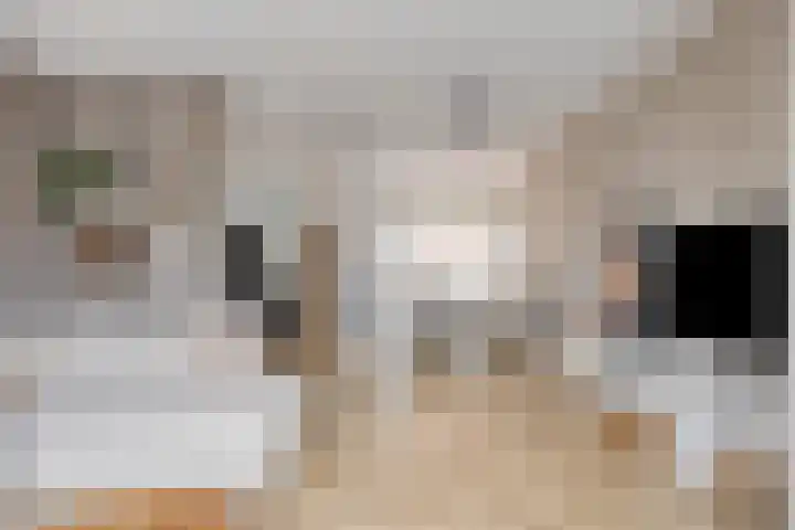 Ivoordistel 18 Rotterdam thumbnail 11