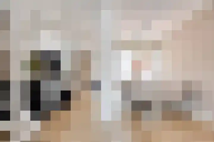 Ivoordistel 18 Rotterdam thumbnail 12