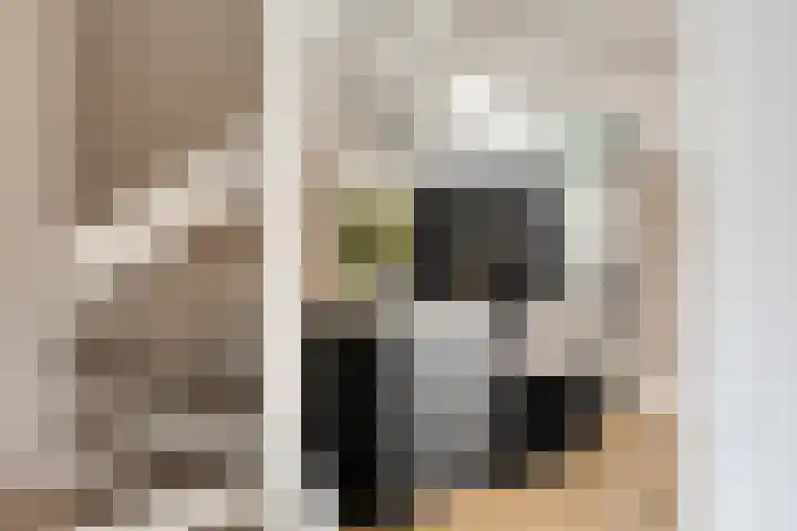 Ivoordistel 18 Rotterdam thumbnail 13