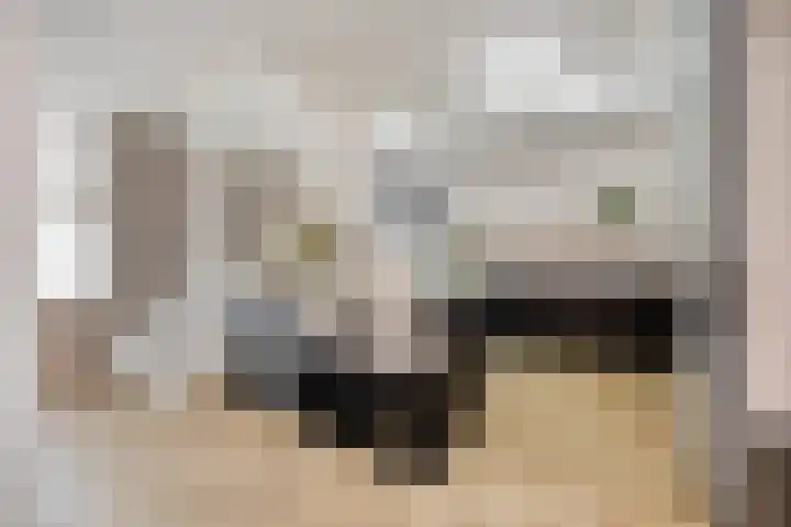 Ivoordistel 18 Rotterdam thumbnail 14