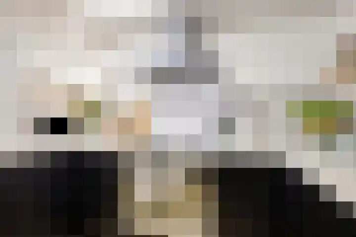 Ivoordistel 18 Rotterdam thumbnail 16