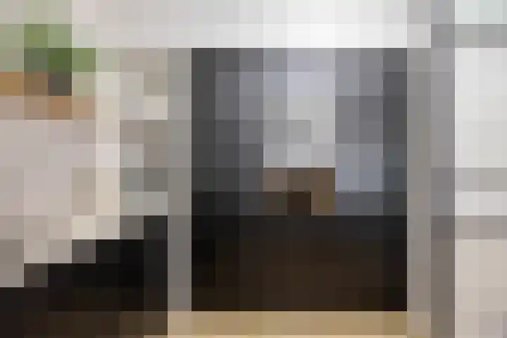 Ivoordistel 18 Rotterdam thumbnail 17