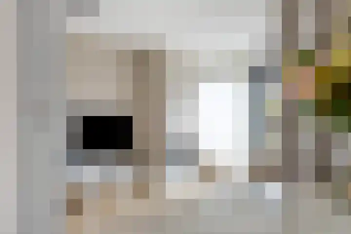 Ivoordistel 18 Rotterdam thumbnail 19