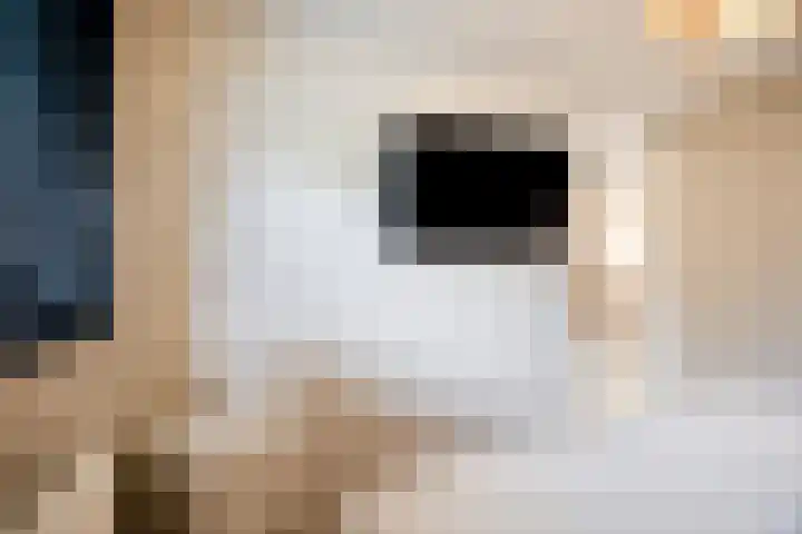 Ivoordistel 18 Rotterdam thumbnail 22