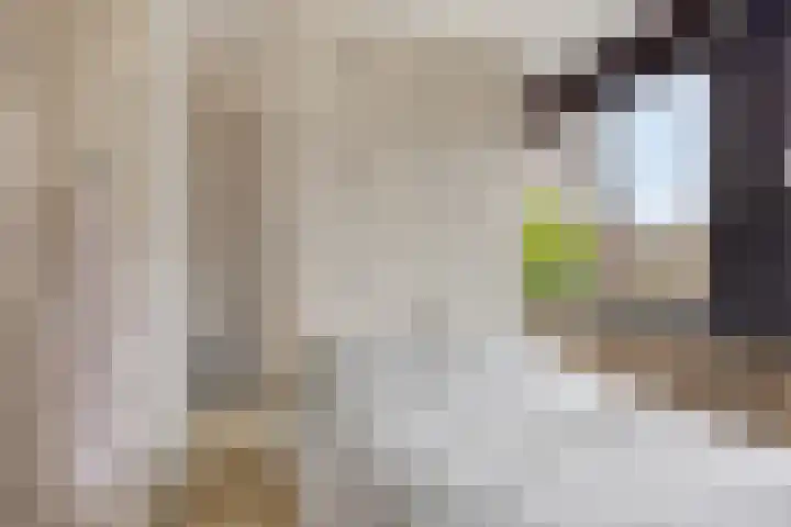Ivoordistel 18 Rotterdam thumbnail 26
