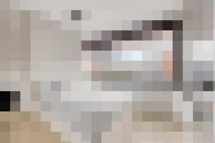 Ivoordistel 18 Rotterdam thumbnail 27