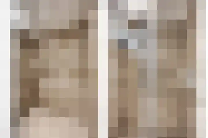 Ivoordistel 18 Rotterdam thumbnail 30