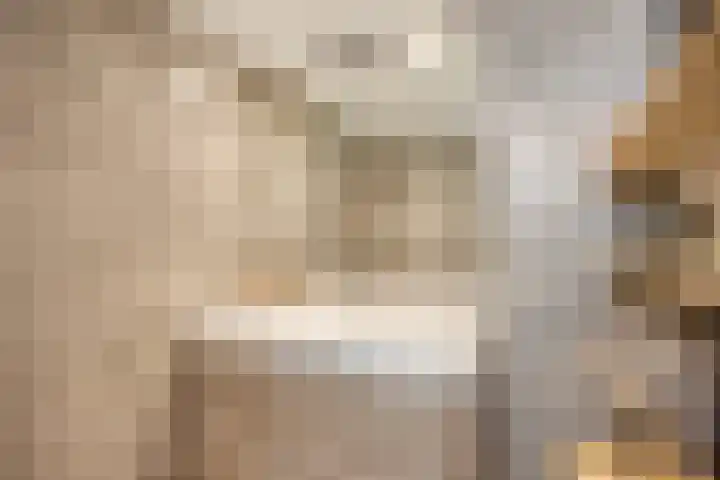 Ivoordistel 18 Rotterdam thumbnail 31