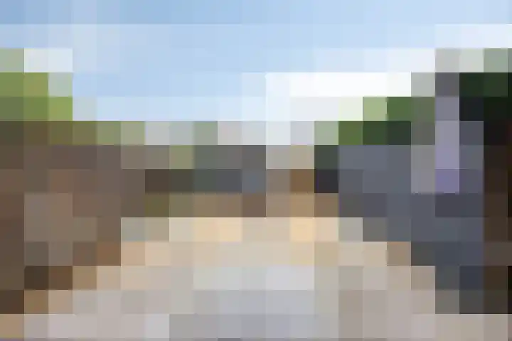 Ivoordistel 18 Rotterdam thumbnail 34
