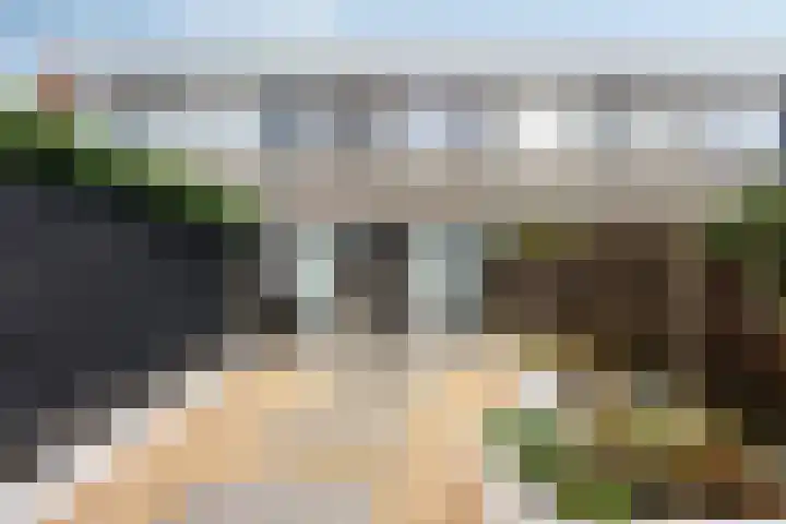 Ivoordistel 18 Rotterdam thumbnail 35