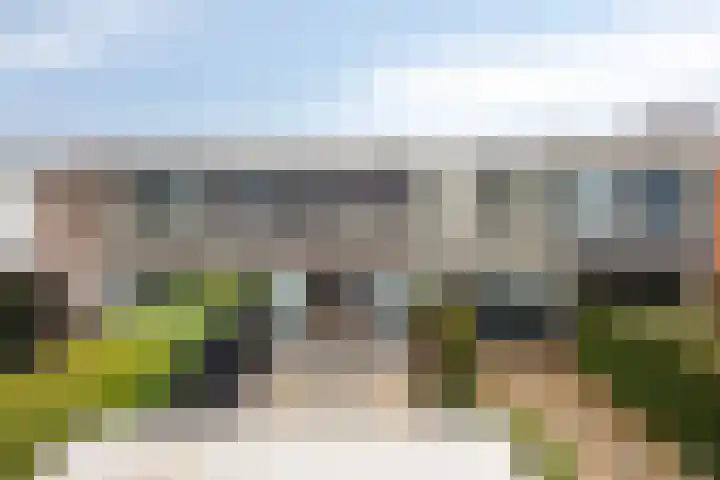 Ivoordistel 18 Rotterdam thumbnail 36