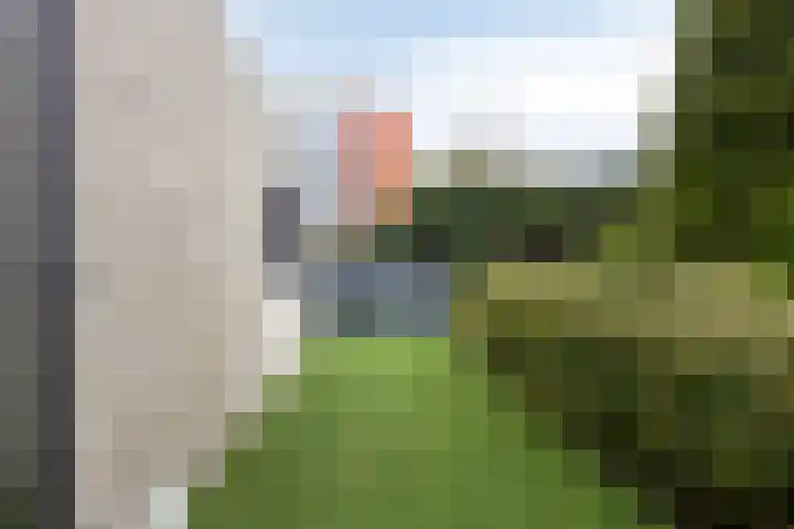 Ivoordistel 18 Rotterdam thumbnail 37