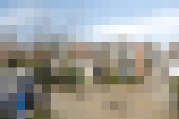Ivoordistel 18 Rotterdam thumbnail 38