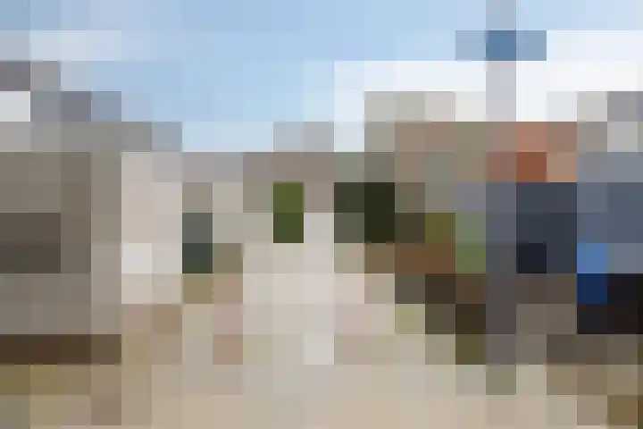 Ivoordistel 18 Rotterdam thumbnail 39