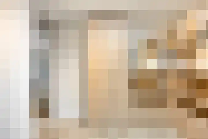Ivoordistel 18 Rotterdam thumbnail 4