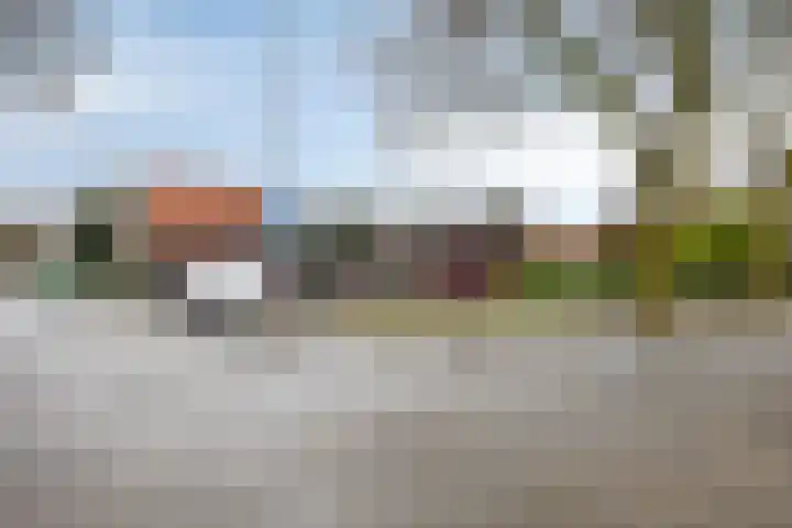Ivoordistel 18 Rotterdam thumbnail 40