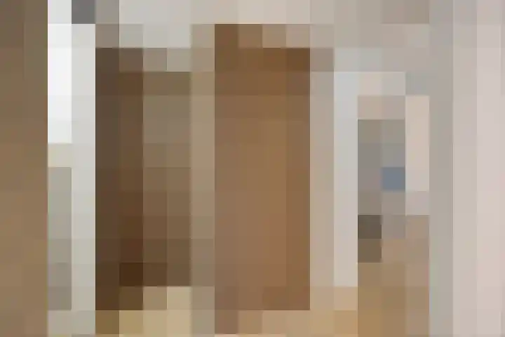 Ivoordistel 18 Rotterdam thumbnail 5