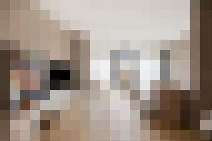 Ivoordistel 18 Rotterdam thumbnail 7