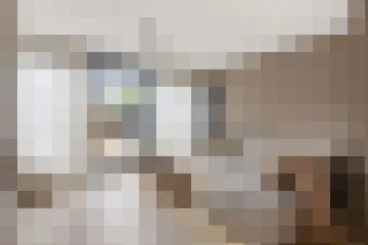 Ivoordistel 18 Rotterdam thumbnail 8