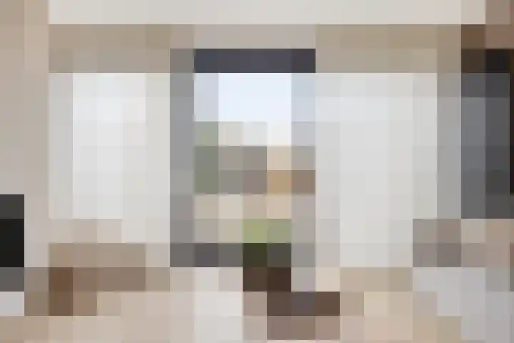 Ivoordistel 18 Rotterdam thumbnail 9
