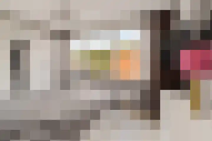 Ivoordistel 26 Rotterdam thumbnail 16