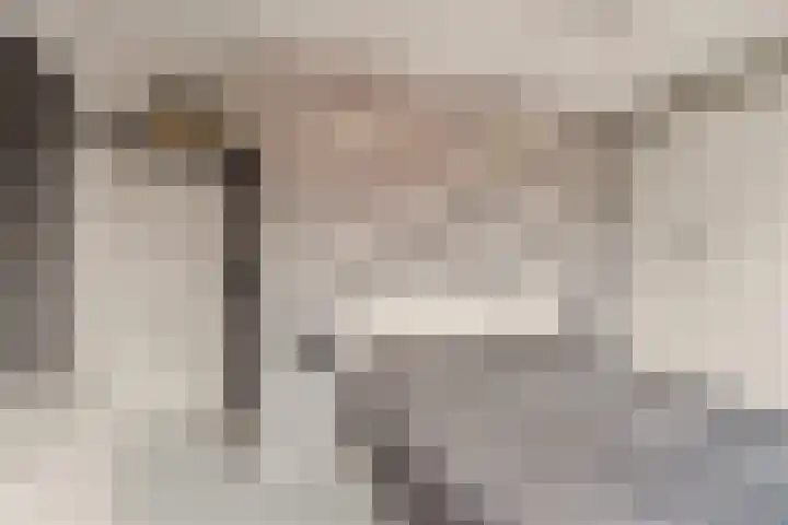 Ivoordistel 26 Rotterdam thumbnail 17