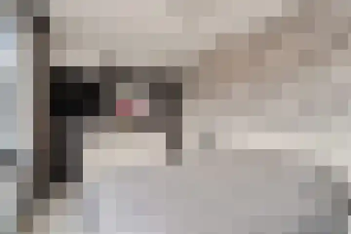 Ivoordistel 26 Rotterdam thumbnail 18