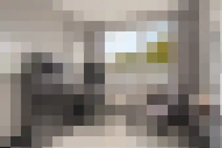 Ivoordistel 26 Rotterdam thumbnail 19