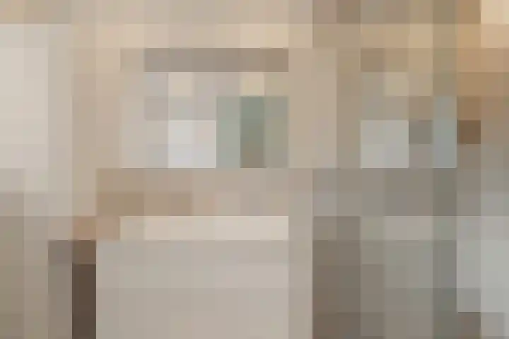 Ivoordistel 26 Rotterdam thumbnail 22