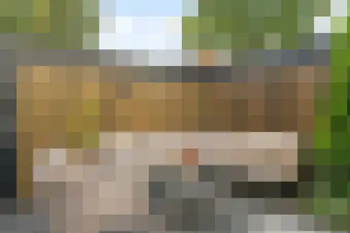 Ivoordistel 26 Rotterdam thumbnail 26