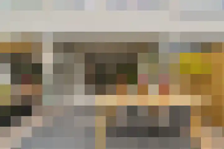 Ivoordistel 26 Rotterdam thumbnail 27