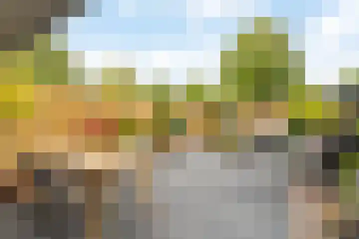 Ivoordistel 26 Rotterdam thumbnail 28