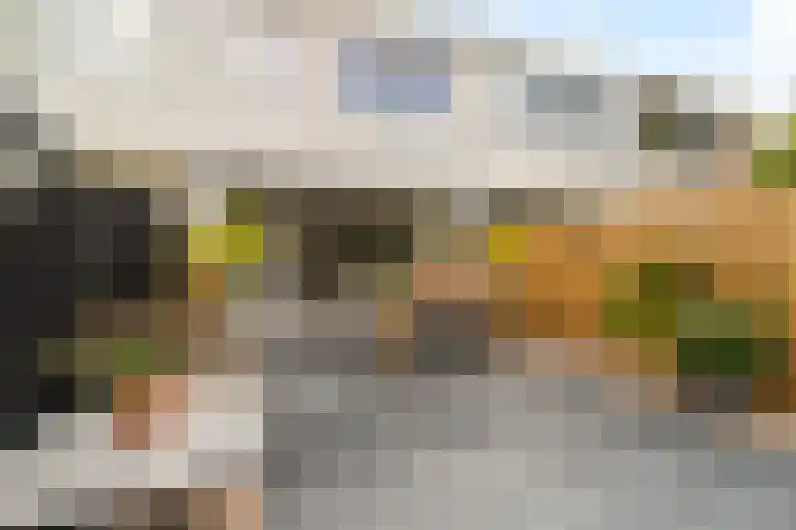 Ivoordistel 26 Rotterdam thumbnail 29