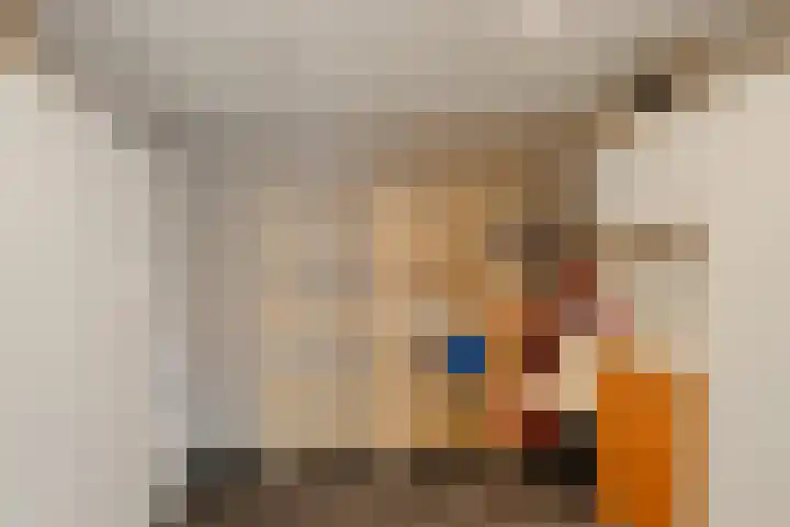 Ivoordistel 26 Rotterdam thumbnail 31