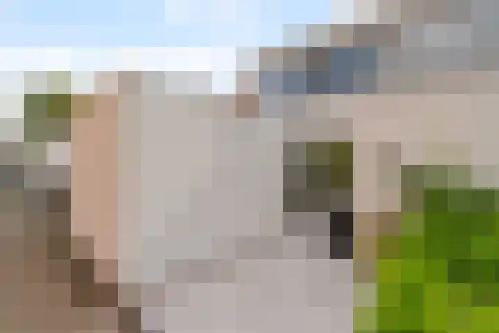 Ivoordistel 26 Rotterdam thumbnail 32