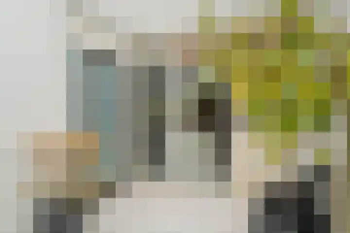Ivoordistel 26 Rotterdam thumbnail 5