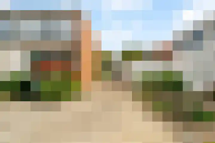Ivoordistel 26 Rotterdam thumbnail 7