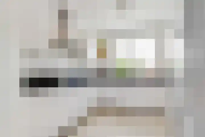 Ivoorzwamsingel 3 Vleuten thumbnail 11