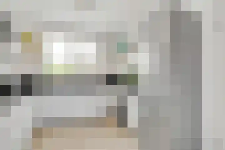 Ivoorzwamsingel 3 Vleuten thumbnail 15