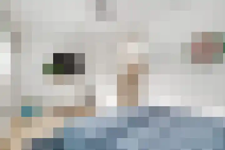 Ivoorzwamsingel 3 Vleuten thumbnail 23