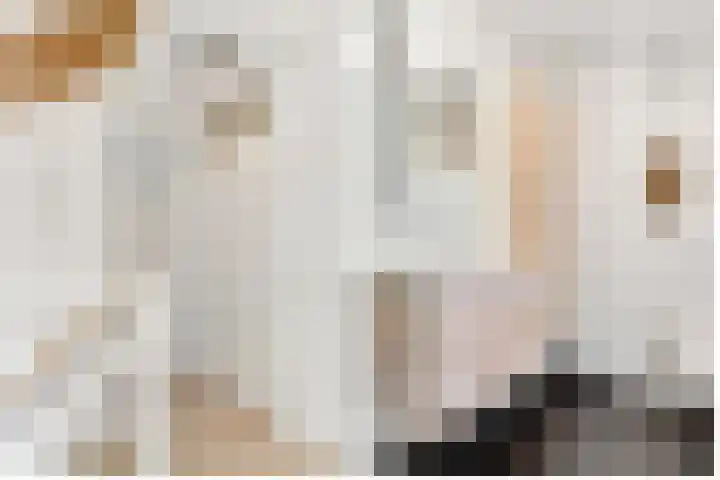 Ivoorzwamsingel 3 Vleuten thumbnail 26