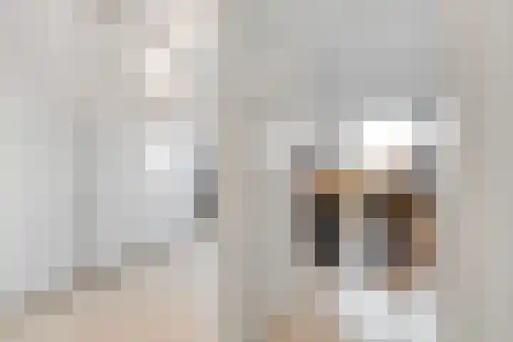 Ivoorzwamsingel 3 Vleuten thumbnail 27
